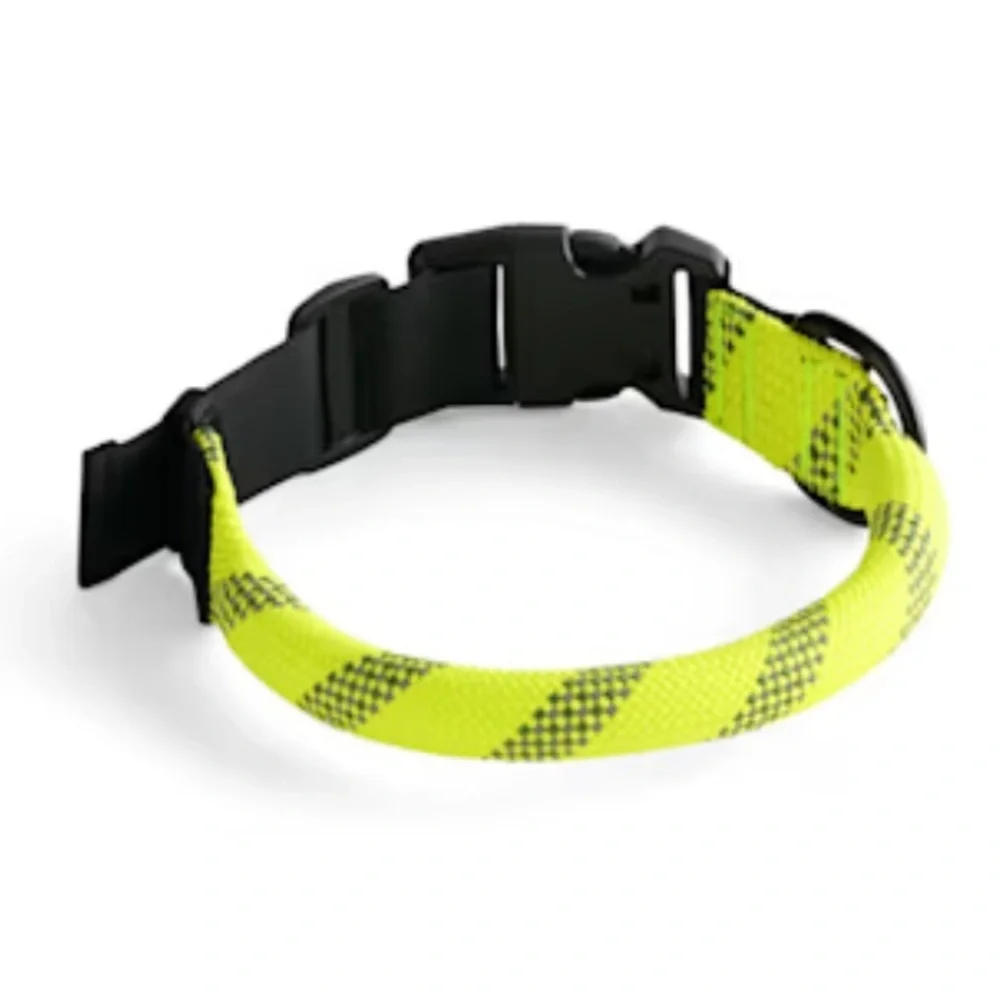Backcountry Petco rope collar L/XL